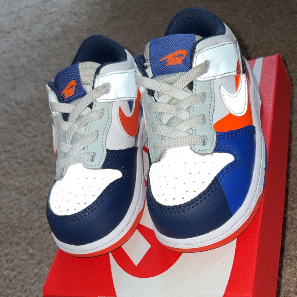 Toddler Dunk Low SE